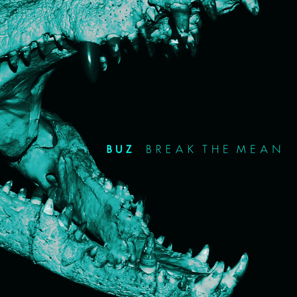 Cover art for Break the Mean by Buz