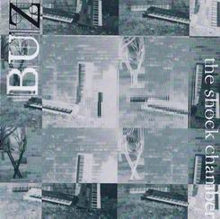 Cover art for The Shock Chamber by Buz